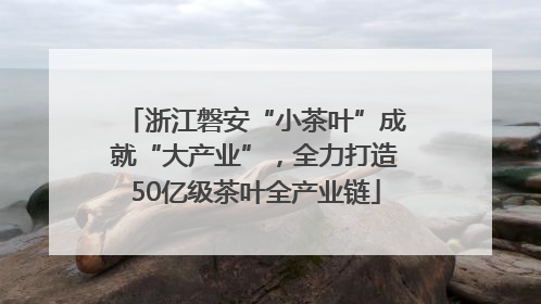 浙江磐安“小茶叶”成就“大产业”，全力打造50亿级茶叶全产业链