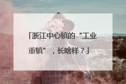 浙江中心镇的“工业重镇”，长啥样？