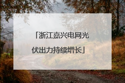 浙江嘉兴电网光伏出力持续增长