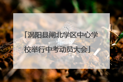 涡阳县闸北学区中心学校举行中考动员大会