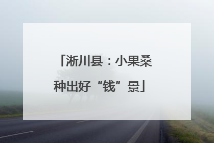 淅川县：小果桑种出好“钱”景