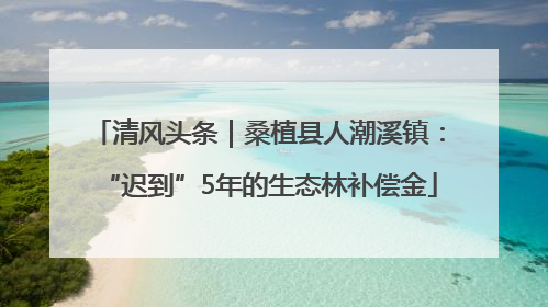 清风头条｜桑植县人潮溪镇：“迟到”5年的生态林补偿金