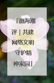 渤海潮评｜共建网络文明 守护精神家园