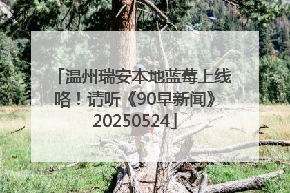 温州瑞安本地蓝莓上线咯！请听《90早新闻》20250524