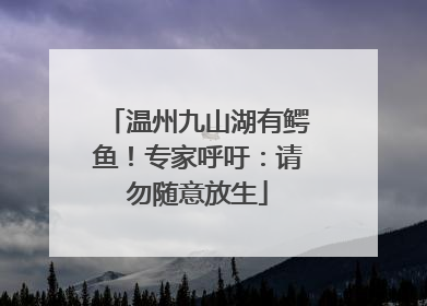 温州九山湖有鳄鱼！专家呼吁：请勿随意放生