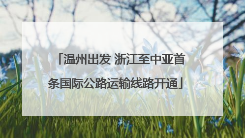温州出发 浙江至中亚首条国际公路运输线路开通