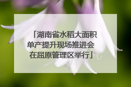 湖南省水稻大面积单产提升现场推进会在屈原管理区举行