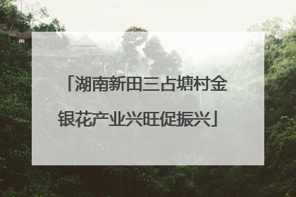 湖南新田三占塘村金银花产业兴旺促振兴