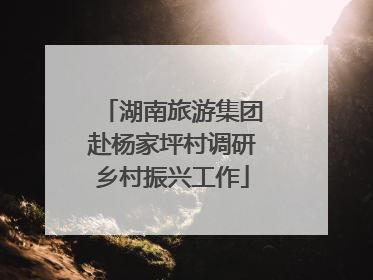 湖南旅游集团赴杨家坪村调研乡村振兴工作