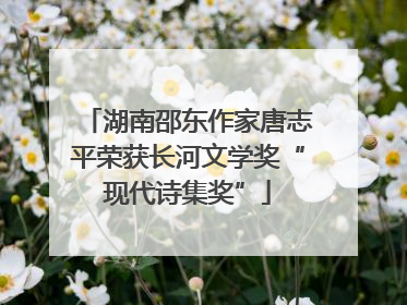 湖南邵东作家唐志平荣获长河文学奖“现代诗集奖”