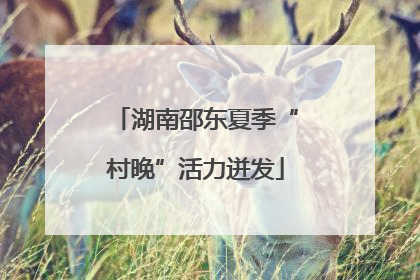 湖南邵东夏季“村晚”活力迸发