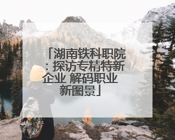 湖南铁科职院：探访专精特新企业 解码职业新图景