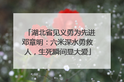 湖北省见义勇为先进邓章明：六米深水勇救人，生死瞬间显大爱