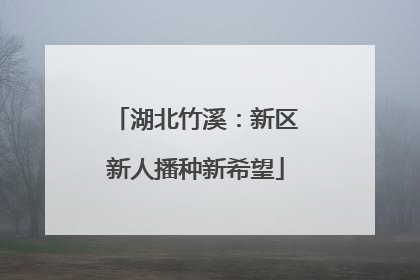湖北竹溪：新区新人播种新希望