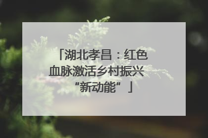 湖北孝昌：红色血脉激活乡村振兴“新动能”
