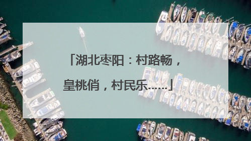 湖北枣阳：村路畅，皇桃俏，村民乐……