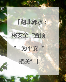 湖北浠水：将安全“置顶” 为平安“把关”