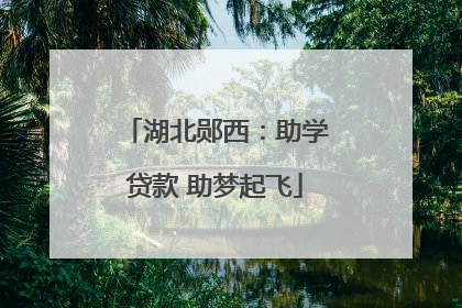 湖北郧西：助学贷款 助梦起飞