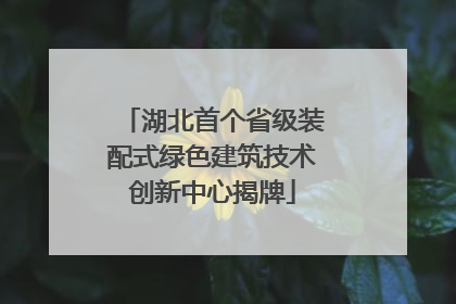 湖北首个省级装配式绿色建筑技术创新中心揭牌