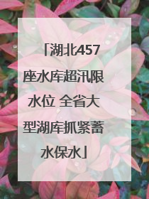 湖北457座水库超汛限水位 全省大型湖库抓紧蓄水保水