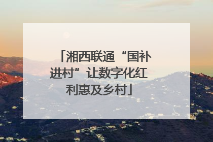 湘西联通“国补进村”让数字化红利惠及乡村