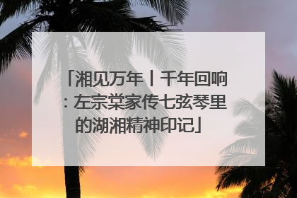 湘见万年丨千年回响：左宗棠家传七弦琴里的湖湘精神印记