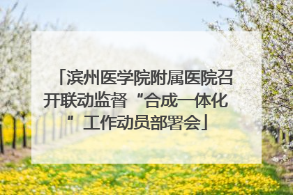 滨州医学院附属医院召开联动监督“合成一体化”工作动员部署会