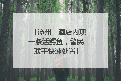 漳州一酒店内现一条活鳄鱼，警民联手快速处置