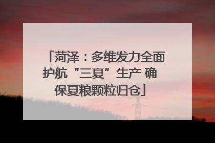 菏泽：多维发力全面护航“三夏”生产 确保夏粮颗粒归仓