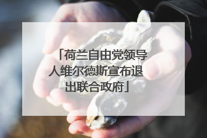 荷兰自由党领导人维尔德斯宣布退出联合政府