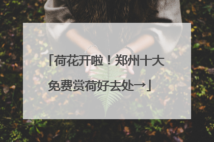 荷花开啦！郑州十大免费赏荷好去处→