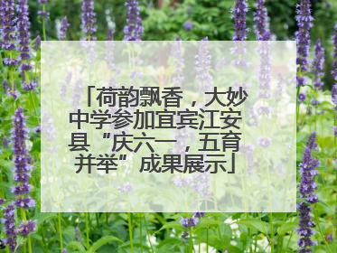 荷韵飘香，大妙中学参加宜宾江安县“庆六一，五育并举”成果展示