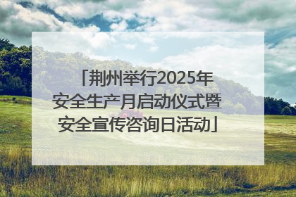 荆州举行2025年安全生产月启动仪式暨安全宣传咨询日活动
