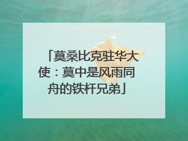 莫桑比克驻华大使：莫中是风雨同舟的铁杆兄弟