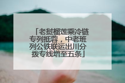 老挝榴莲乘冷链专列抵蓉，中老班列公铁联运出川分拨专线增至五条