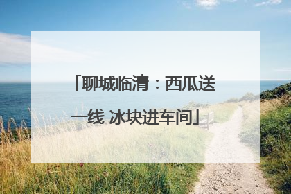 聊城临清：西瓜送一线 冰块进车间