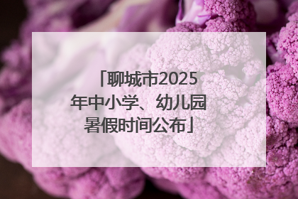 聊城市2025年中小学、幼儿园暑假时间公布