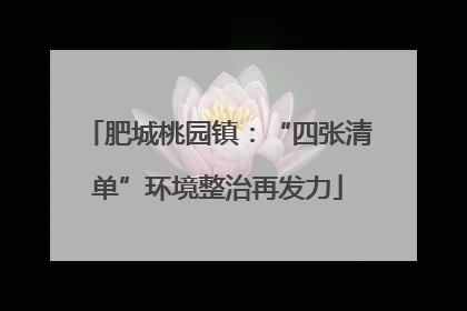 肥城桃园镇：“四张清单”环境整治再发力