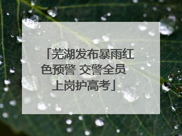 芜湖发布暴雨红色预警 交警全员上岗护高考