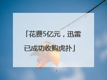 花费5亿元，迅雷已成功收购虎扑