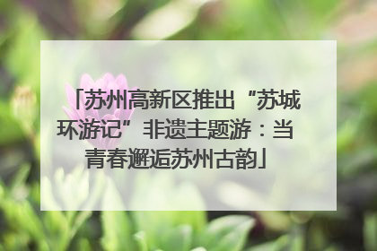 苏州高新区推出“苏城环游记”非遗主题游：当青春邂逅苏州古韵