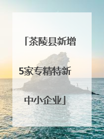 茶陵县新增5家专精特新中小企业