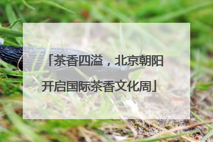 茶香四溢，北京朝阳开启国际茶香文化周