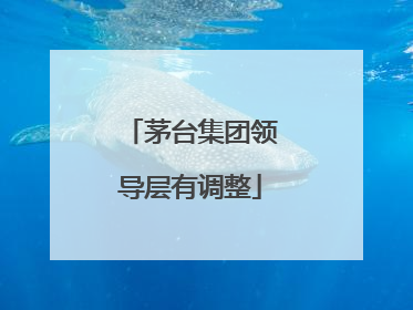 茅台集团领导层有调整
