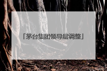 茅台集团领导层调整