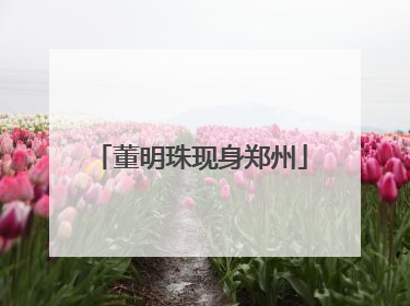 董明珠现身郑州