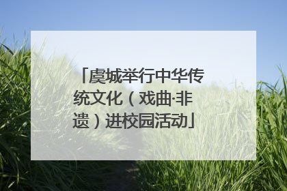 虞城举行中华传统文化（戏曲·非遗）进校园活动