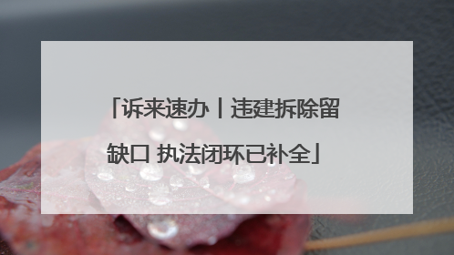 诉来速办丨违建拆除留缺口 执法闭环已补全