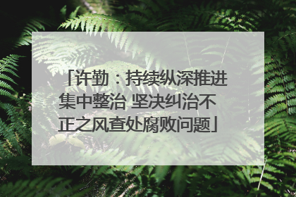 许勤：持续纵深推进集中整治 坚决纠治不正之风查处腐败问题