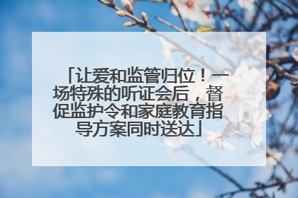 让爱和监管归位！一场特殊的听证会后，督促监护令和家庭教育指导方案同时送达